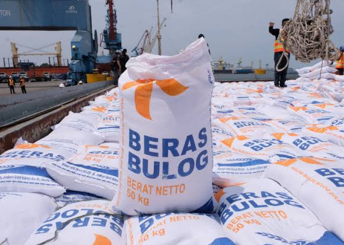 Pemerintah akan Salurkan Bantuan Beras 10 Kg dan Beri Diskon Listrik di Awal 2025