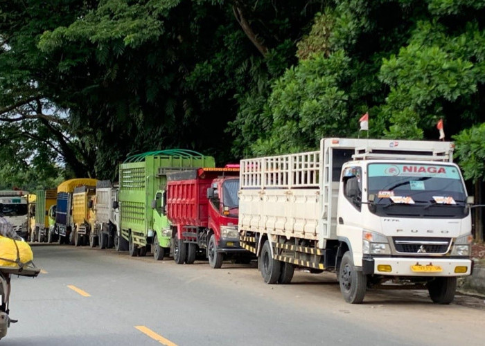 Antrean Solar di Balikpapan Mencapai 3 Hari, DPRD Desak Transparansi Kuota BBM Bersubsidi