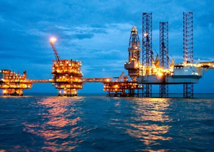 8 Blok Migas Dilelang Pemerintah, Ini Jadwalnya
