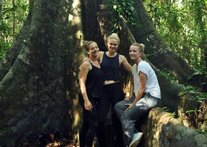 Kunjungan Wisatawan Mancanegara ke Taman Nasional Kutai Meningkat Tiap Tahun