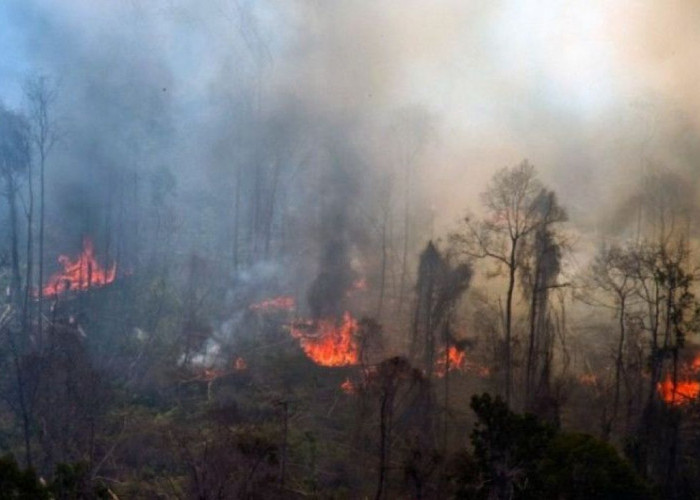 Siap Bantu Jika Diperlukan, Malaysia Apresiasi Tindakan Cepat Indonesia Tanggulangi Karhutla