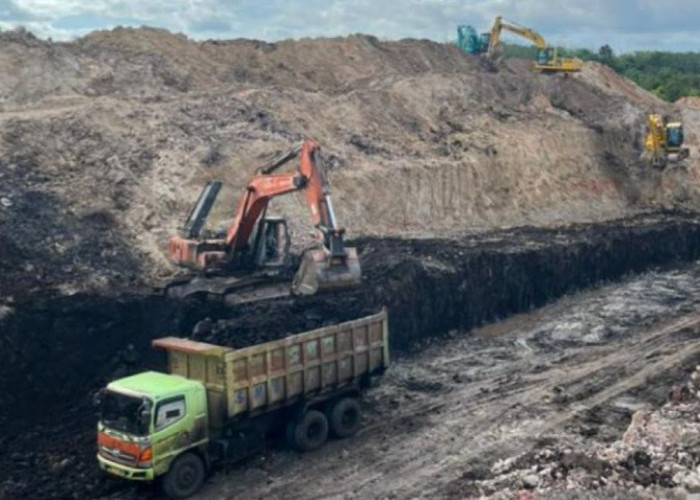 Kaltim Waswas Pemangkasan Produksi Batu Bara dalam RKAB 2026, Dinas ESDM: DBH Bisa Ikut Anjlok
