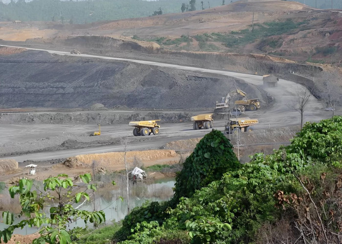 Insiden di KPC Diinvestigasi Langsung Tim dari Jakarta, Inspektur Tambang Kaltim Tak Dilibatkan