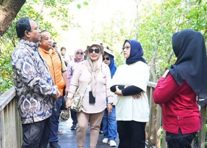 PPU akan Manfaatkan Kawasan Tambak Menjadi Destinasi Ekowisata Mangrove