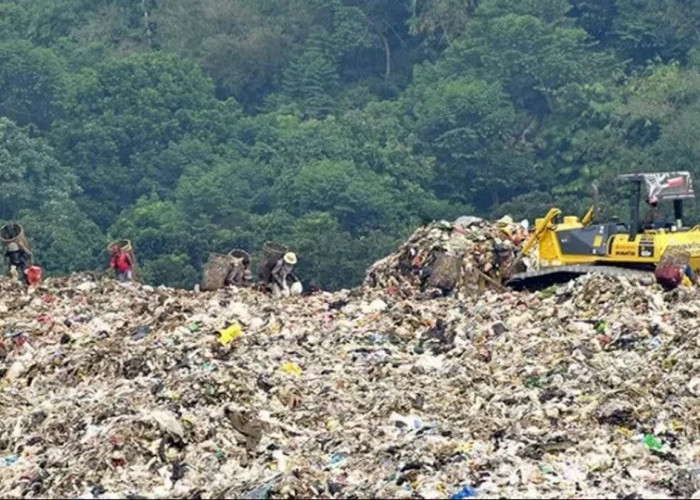 Kaltim Hasilkan Ratusan Ribu Ton Sampah Tiap Tahun, Baru 17 Persen yang Berhasil Diolah
