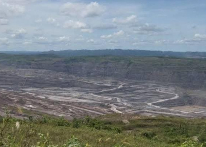 Kontribusi Tambang di Kutim Turun Tajam, Sektor Pertanian dan Industri Mulai Bangkit