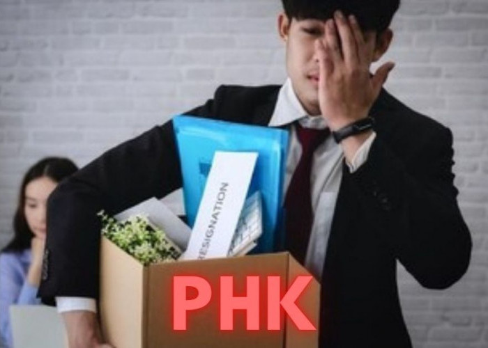 PHK di Paser Capai 238 Kasus Selama Januari-Agustus 2025, Didominasi Karyawan Tambang dan Perkebunan