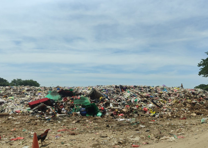 DLHK Kukar Apresiasi Masyarakat yang Sadar Bayar Retribusi Sampah, Lingkungan Bersih, PAD Bertambah 