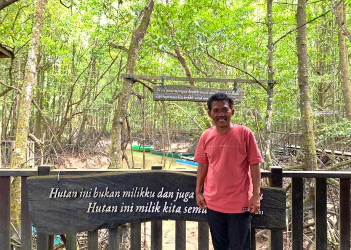 20 Tahun Agus Bei Menumbuhkan Mangrove di Graha Indah Balikpapan: Melawan Kerusakan dengan Konsistensi 