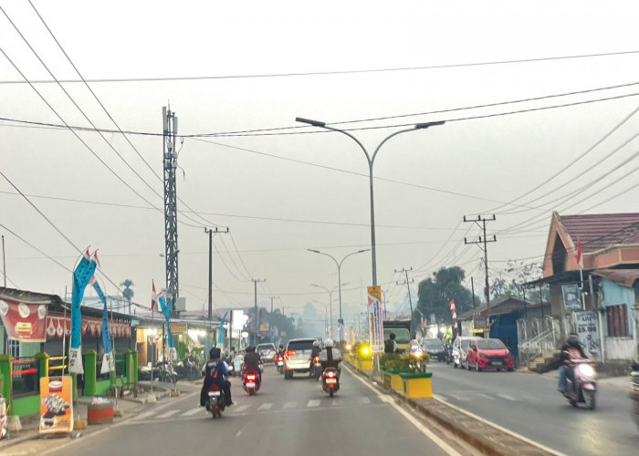 Partikel Kabut Asap Akibat Karhutla Makin Berbahaya, Penyebab Utama ISPA 