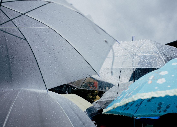 Ramalan Cuaca Kaltim dan IKN, 29 Januari 2026, Cek di Sini!