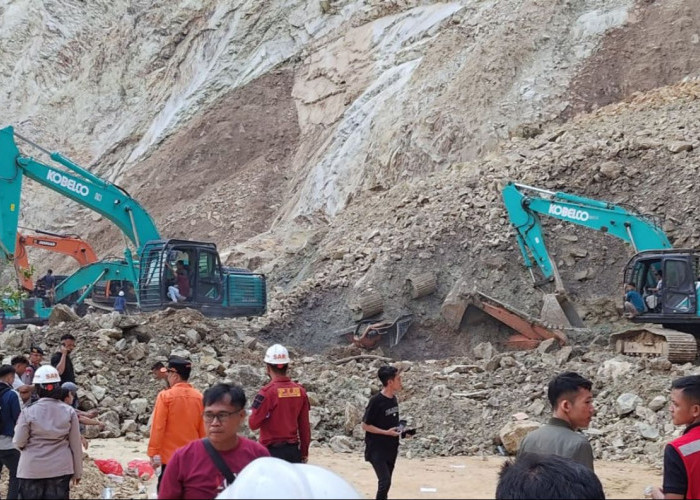 Kementerian ESDM Amankan Tumpukan Batu Bara di Kutai Kartanegara, Ditemukan di 5 Titik Lokasi