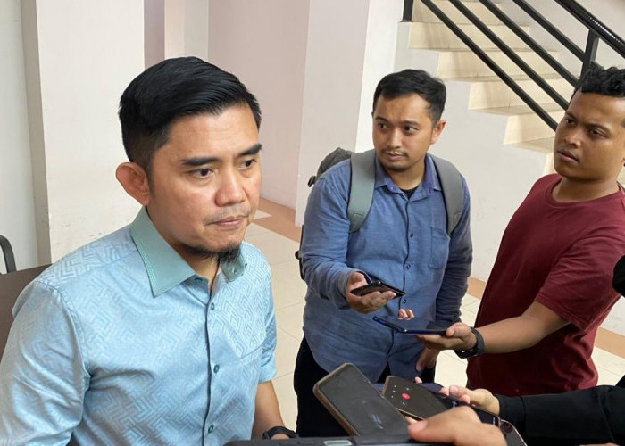 44 Ribu Hektare Hutan Kaltim Digunduli untuk Sawit dan Tambang, DPRD Desak Reforestasi