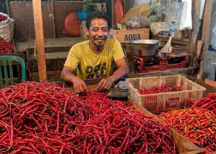 Harga Cabai Mendekati Rp 100 Ribu, Pemkot Samarinda Perkuat Pengawasan Pasar