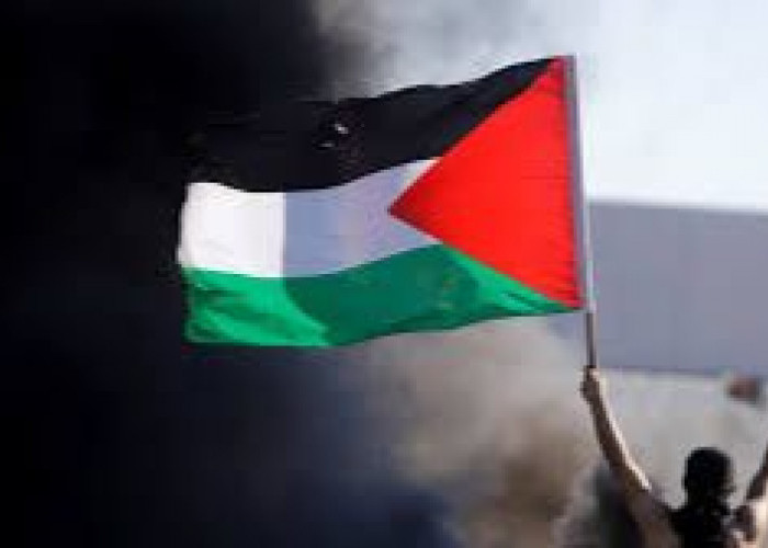 Anggota Parlemen dari Partai Buruh Desak Inggris Segera Mengakui Negara Palestina