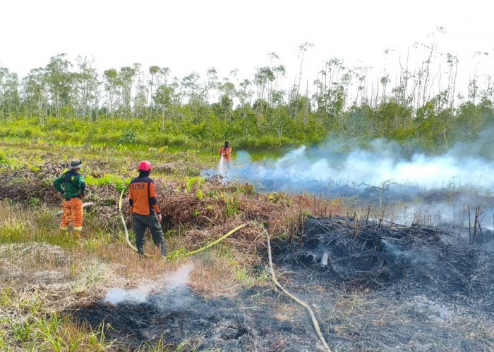 Sehari Enam Titik Terpantau, Karhutla di Paser Mulai Meningkat Sejak Awal Agustus 