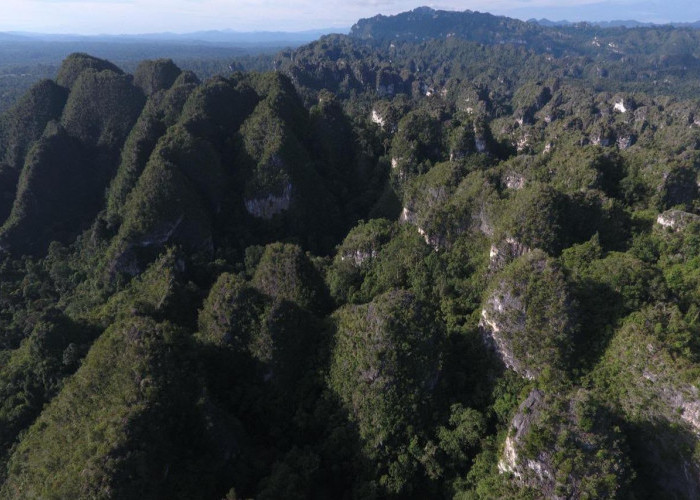 Geopark Sangkulirang-Mangkalihat Simpan Cadangan Karbon Strategis, Pemprov Kaltim Tunggu Hasil Verifikasi
