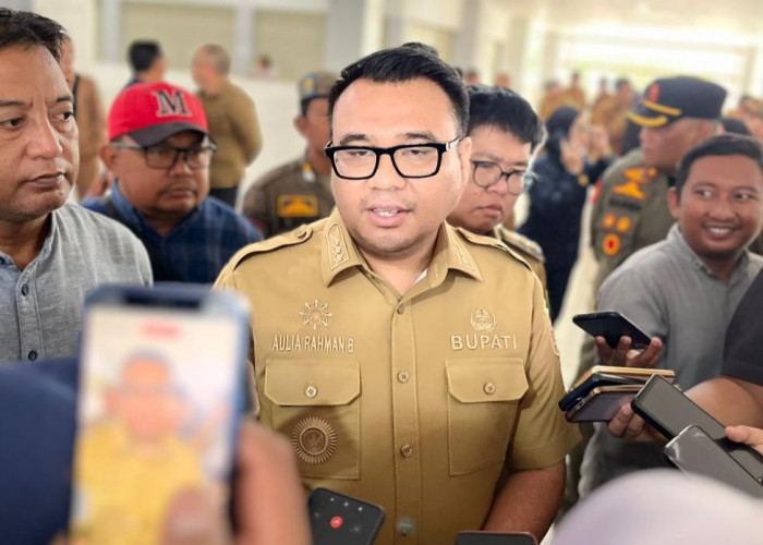 Aulia Rahman Nilai Pilkada lewat DPRD lebih Efisien, Dana Bisa Dialihkan untuk Kepentingan Publik