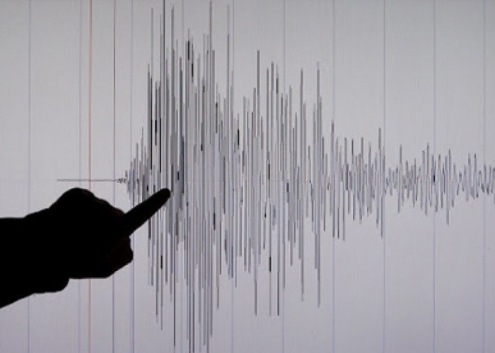 Gempa Bumi M7,4 Guncang Melonguane, Sulawesi Utara Hari Ini