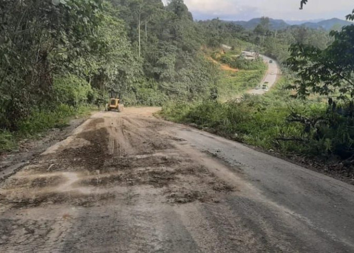 Jalur Berau - Kutai Timur Mulai Diperbaiki, Nilai Kontrak Mencapai Sekira Rp203 Miliar