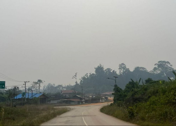 Mahulu Kembali Diselimuti Asap Karhutla, BPBD Sebut Kiriman dari Luar Daerah