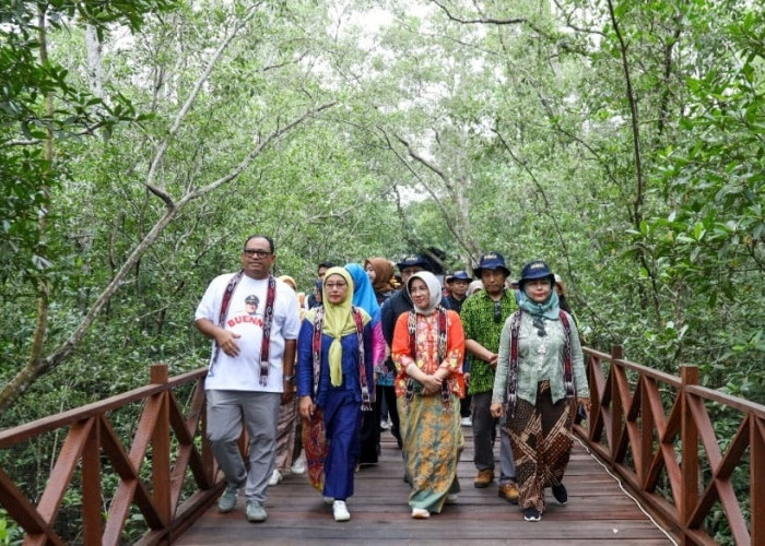 Revitalisasi Wisata Mangrove demi Lestarikan Lingkungan