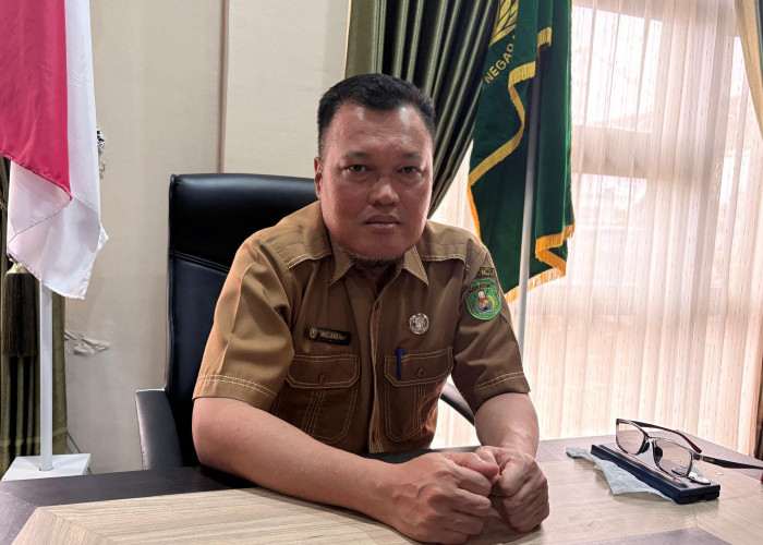 Lebih 1.000 Guru Honorer di Kutim Tak Terdata, BKPSDM: Tak Ada Laporan Saat Penerimaan