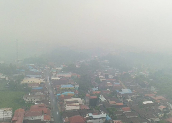 IDAI Ingatkan Bahaya Asap Karhutla bagi Anak, Ini Cara Mencegahnya