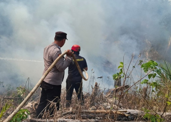 Penajam Jadi Wilayah dengan Karhutla Terbanyak di PPU, 381 Hektare Lahan Terbakar