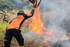 Waspadai Kemarau Panjang Tahun Ini, BPBD Paser Mulai Siagakan Tim Reaksi Cepat