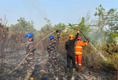Angin Kencang Picu Api Meluas, 3 Hektare Lahan Gambut Singa Geweh Terbakar