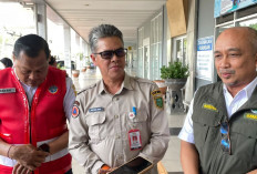 385 Hektare Lahan Terbakar, BPBD Ungkap Alasan Belum Maksimalnya Pencegahan
