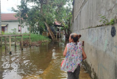 Kata BMKG Soal Efek La Nina Lemah: Kaltim Musim Hujan Panjang, Samarinda Rawan Banjir 