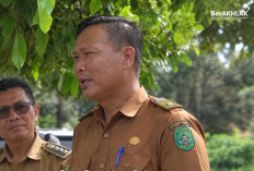 Desa Sungai Bawang Sudah Terang, Martinus: Penerangan Jangkau 5 RT