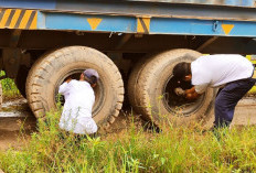 Dishub Samarinda Kembali Tertibkan Parkir Kontainer, Kali Ini Puluhan Kendaraan di Palaran Digembosi