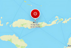 BMKG Ungkap Sumber Gempa M7,7 NTT, Ternyata Sesar Ini Bisa Capai M7,9