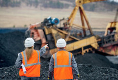 Investasi di Kaltim Capai Rp70,43 Triliun, Puluhan Ribu Tenaga Kerja Terserap