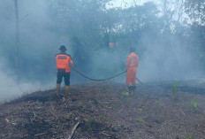 Karhutla Bontang Meningkat, Bontang Selatan Catat Kasus dan Lahan Terbakar Terluas