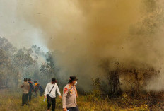 Kebakaran Lahan 4 Hektare di Lamaru Balikpapan, Api Diduga Berasal dari Pembakaran Bata