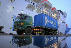 Bantuan Banjir Bandang di Sumatra Bisa Dikirim Lewat Kapal PELNI Balikpapan Secara Gratis, Begini Caranya!