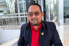 Harga Sawit Anjlok, Faizal Rachman: Kutim Seperti Tidak Punya Bupati dan Dinas Perkebunan