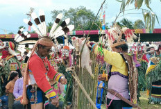 Angkat Budaya Lokal, Festival Lom Plai dan Sekerat Wakili Kutim di Kalender Event Kaltim 2026