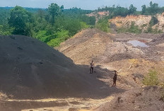 Satgas Halilintar Bidik Denda 22 Tambang Tanpa Izin Senilai Rp29,2 Triliun