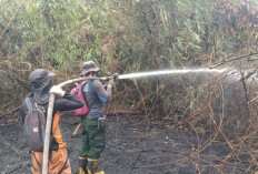 Usut Tuntas Pemilik Lahan Terbakar, Sekda PPU: Penegakan Hukum untuk Memberi Efek Jera