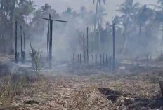 Karhutla di Paser Merembet ke Pemukiman, Satu Rumah Warga Tanah Grogot Ludes Dilalap Api