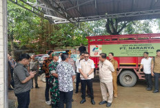 Pertamina Distribusikan 2.800 Tabung LPG 3 Kilogram Per Hari Demi Jaga Pasokan