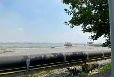 Dampak Kekeringan Meluas, Air Bersih hingga 5.320 Hektare Lahan Pertanian di Kaltim Terancam