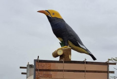 Tugu Burung Tiung di Paser Tuai Kontroversi, Begini Kata Pemkab