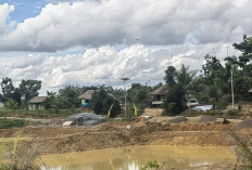 Angka Kemiskinan di Paser Turun dalam 5 Tahun Terakhir, BPS Sebut Pengaruh Pemerataan Infrastruktur