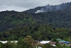 Pilot Pesawat Kargo Pelita Air yang Jatuh di Nunukan Meninggal, Penyebab Kecelakaan Masih Diselidiki
